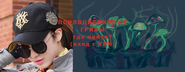 тгк Дмитровск