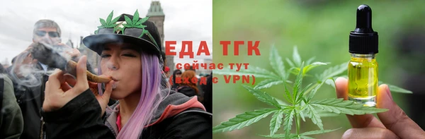 тгк Дмитровск
