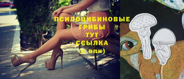 дживик Нефтекумск