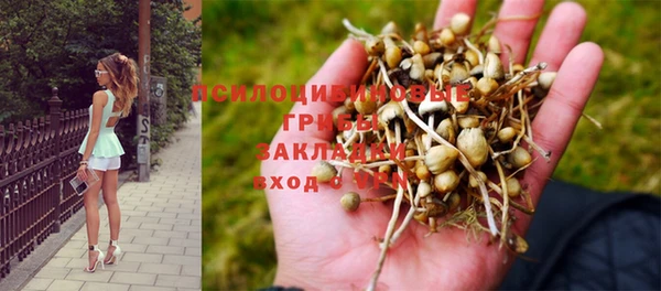 а пвп мука Дмитров