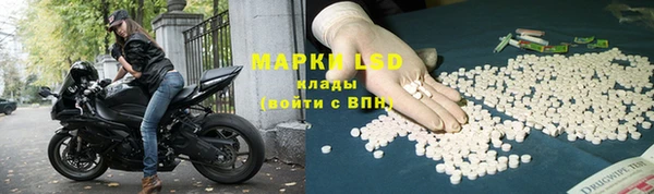 тгк Дмитровск